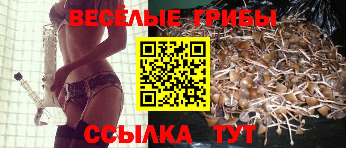 Галлюциногенные грибы мицелий Истра