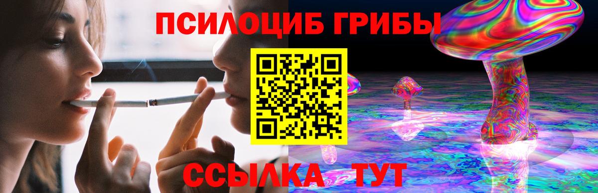 Истра  Галлюциногенные грибы мицелий  где купить наркотик  Вход с VPN 